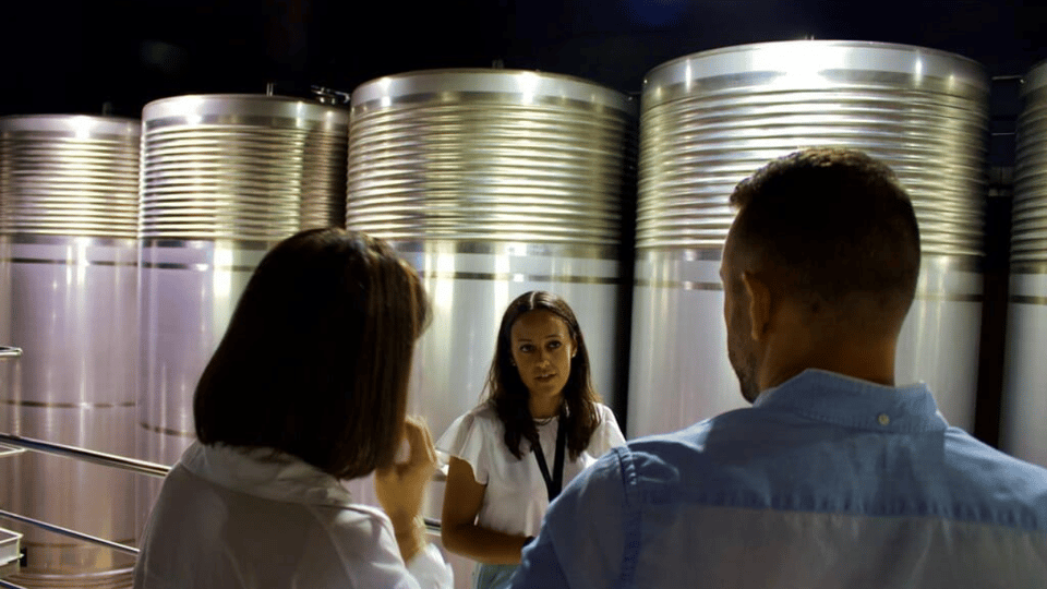 Visit to the Adegas Valmiñor Winery and Tasting - Key Points