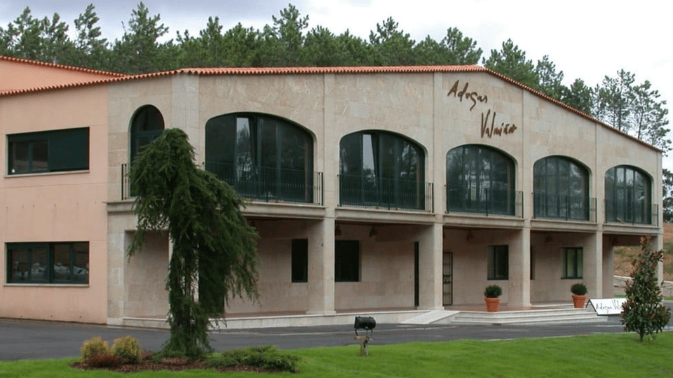Visit to the Adegas Valmiñor Winery and Tasting - Guided Tour Experience