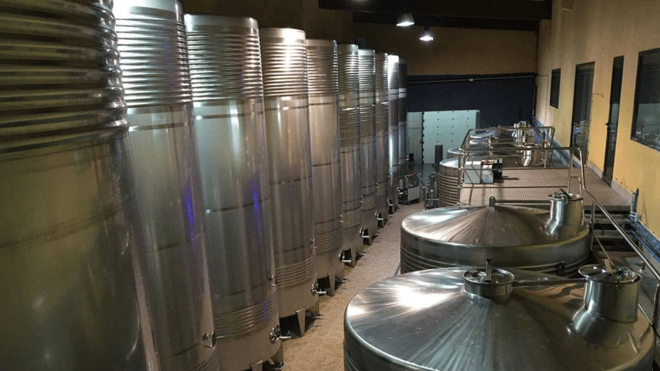 Visit to the Adegas Valmiñor Winery and Tasting - Important Visitor Guidelines