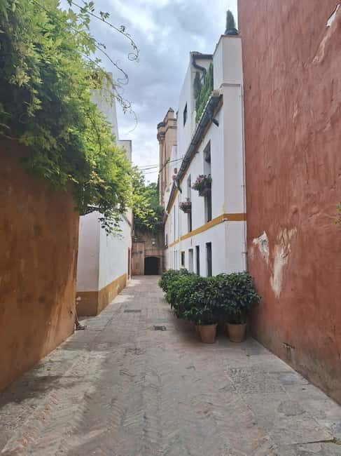 Visit to the cathedral, the Santa Cruz district and Plaza España - Authenticity and Practicality