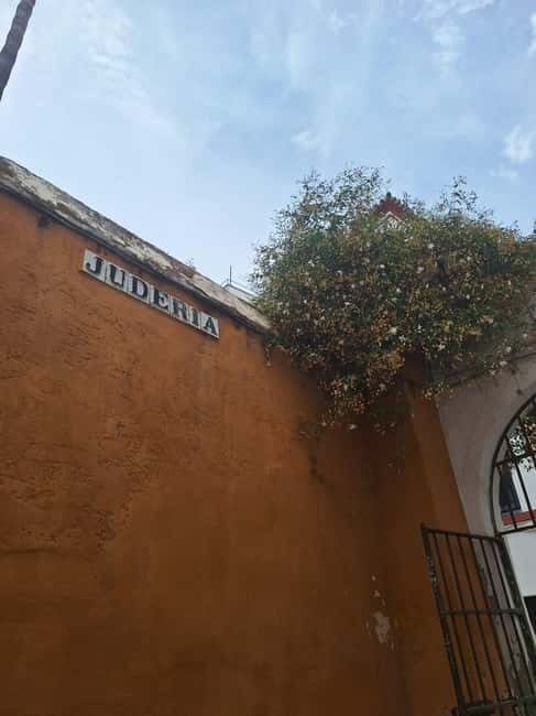 Visit to the cathedral, the Santa Cruz district and Plaza España - Final Thoughts: Is It Worth It?