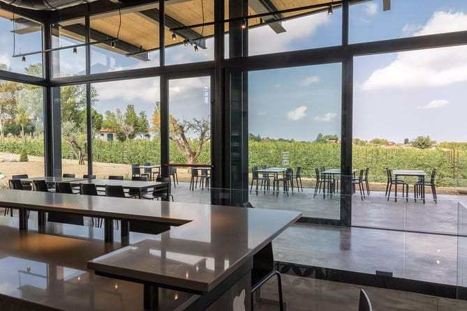 Visit to the cellar and tasting - Who Will Love This Experience?