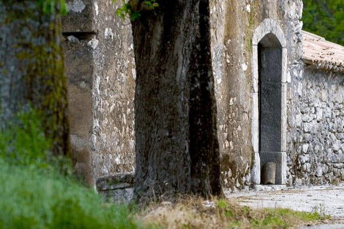 Visit to the cellar at the Feudi di San Gregorio da Sorrento - Key Points / Takeaways