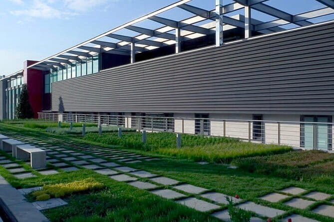 Visit to the cellar at the Feudi di San Gregorio da Sorrento - Exploring the Sorrento Wine Cellar: What to Expect