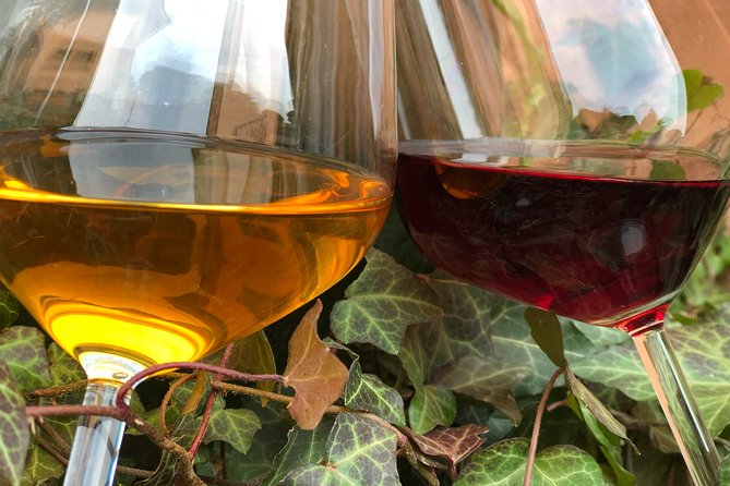 Visit to the Museum and Tasting of the Ancient Roman Wine - Wine Tasting Experience