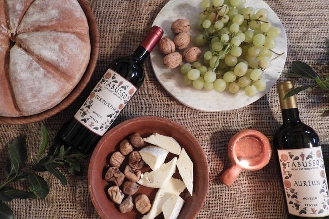 Visit to the Museum and Tasting of the Ancient Roman Wine - Visiting the Wine Production Museum