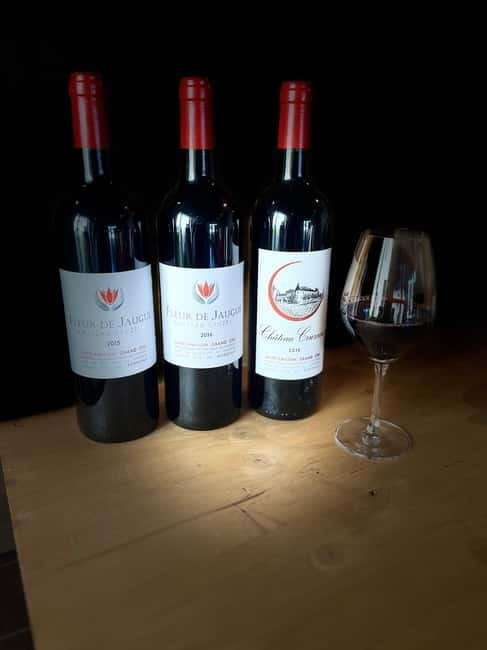 Visit to the property and wine/cheese pairing workshop - Exploring Château Cruzeau: A Closer Look