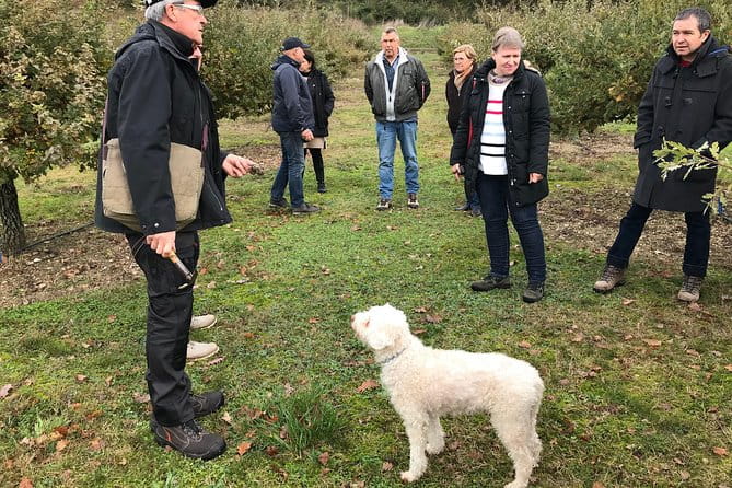 Visit truffle fields and hunt with a dog in all seasons. - Key Points
