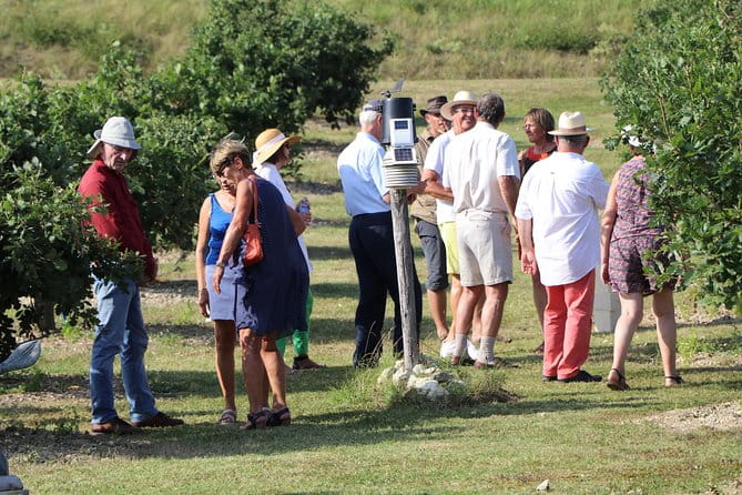 Visit truffle fields and hunt with a dog in all seasons. - The Sum Up