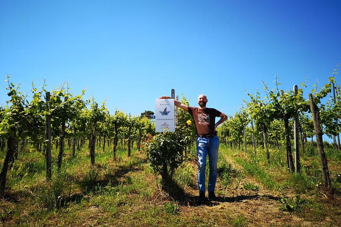 Visit, wine tasting and lunch - A Closer Look at the Experience: What to Expect