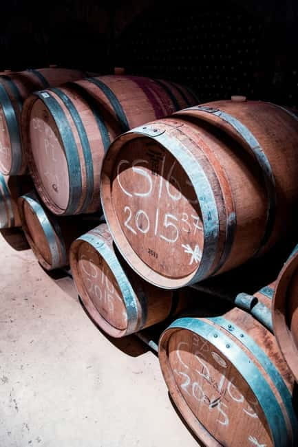 Visit winery in guadalest - Key points / Takeaways