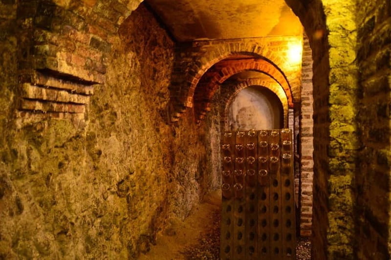 Visita guidata e Degustazione vini Monforte d'Alba - Who Will Love This Experience?