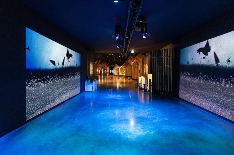 Visitor trail of the Cité in Beaune - Key Points / Takeaways