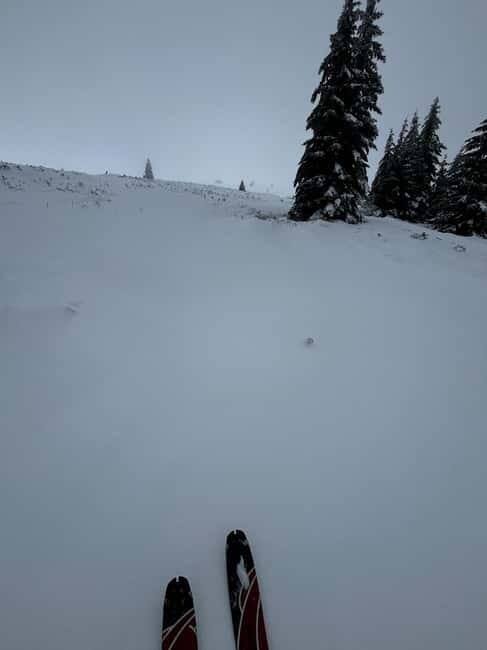 Vitosha: Ski Day Trip by Mountain Stars Ski School - FAQ