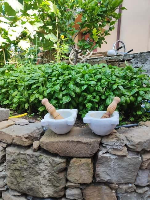 Volastra: BarCa Wine Tasting in Cinque Terre and Pesto Class - Key Points / Takeaways