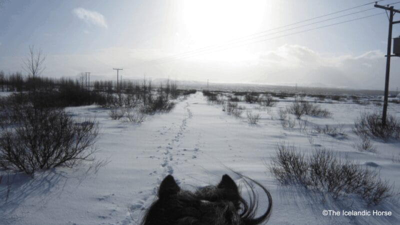 Volcanic Landscape Iceland Horse Riding Tours - Scenic Highlights and Photo Opportunities