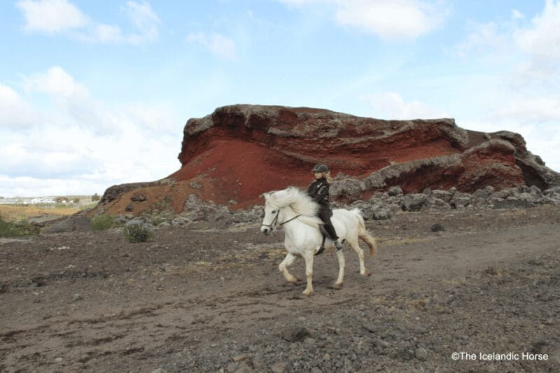 Volcanic Landscape Iceland Horse Riding Tours - Practical Details: Logistics, Cost, and Suitability