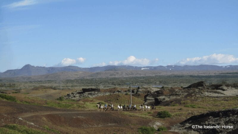 Volcanic Landscape Iceland Horse Riding Tours - The Sum Up: Worth the Price for an Authentic Icelandic Experience