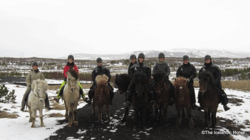 Volcanic Landscape Iceland Horse Riding Tours - Frequently Asked Questions