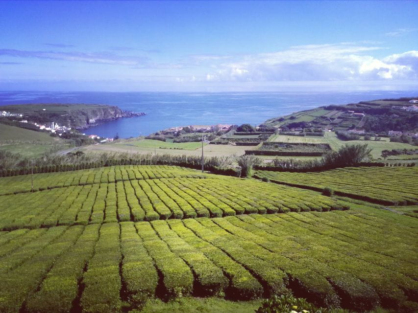 Volcanic Tour & Tea Plantage (3 People) - Key Points