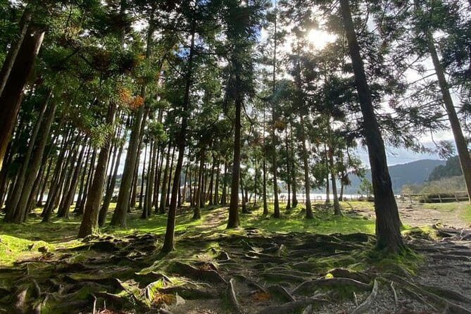 Volcano of Fogo and Furnas Private Tour - In-Depth Review of the Volcano of Fogo and Furnas Private Tour