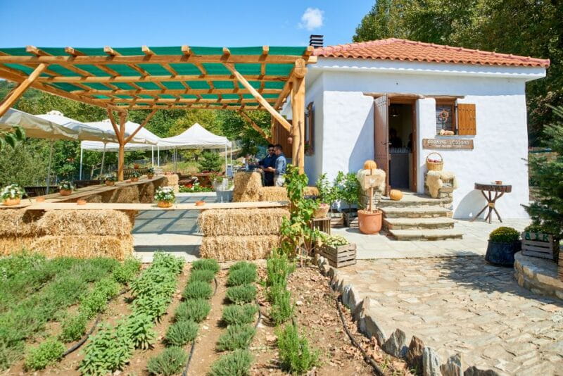 Volos: Cook Like a Local at a Greek Farm - The Experience in Detail