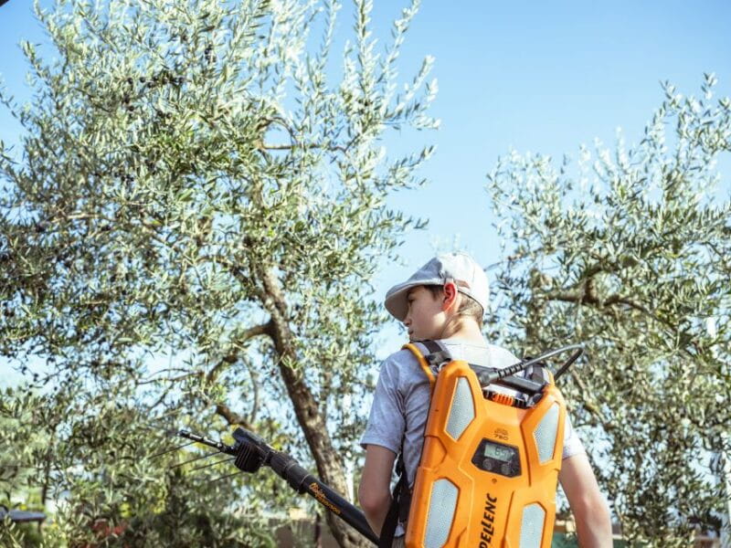 Volterra - Olive oil tasting with lunch or dinner - Who Should Consider This Experience?