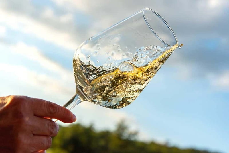 Volterra: Winery Guided Tour and Experience with Tasting - Exploring the Winery: A Step-by-Step Guide