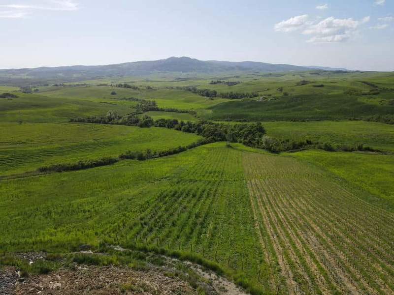 Volterra: Winery Guided Tour and Experience with Tasting - Price and Logistics