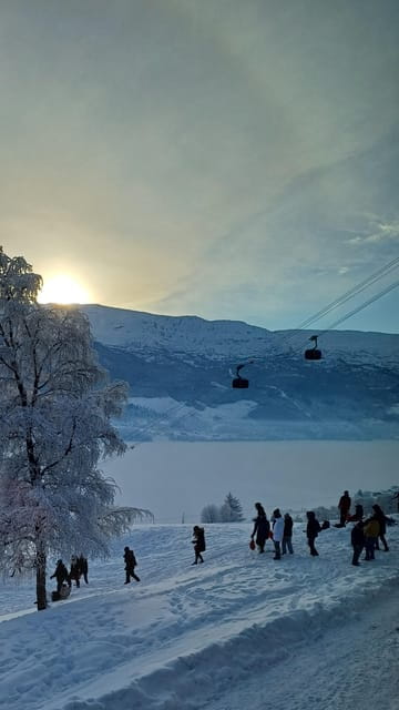 Voss: Folk Museum Entry Ticket - Who Should Visit This Museum?