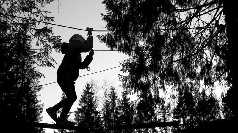 Voss High Rope & Zipline Park - Key Points / Takeaways