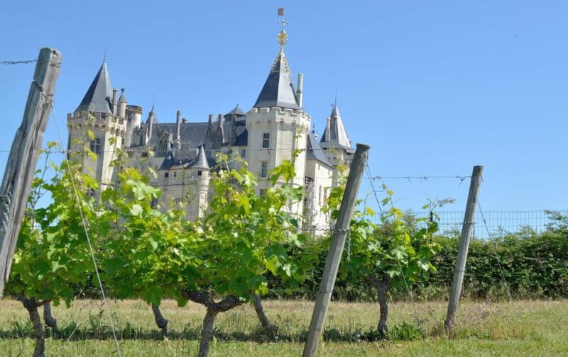 Vouvray wine half-day tour from Tours - The Scenic Charm of Vouvray’s Vineyards
