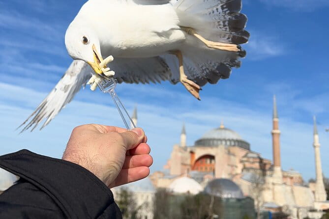 Voyager of Istanbul Top Landmark Tour - The Sum Up