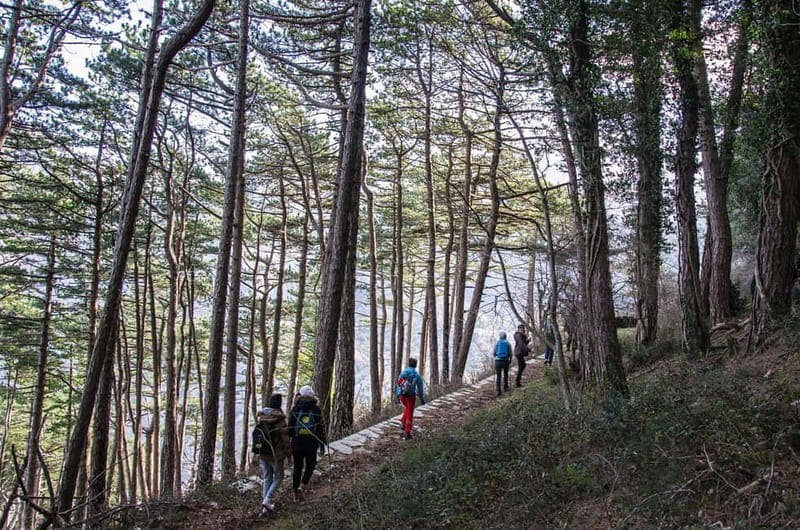 Vrmac Hiking Private Tour - Who Will Love This Tour?