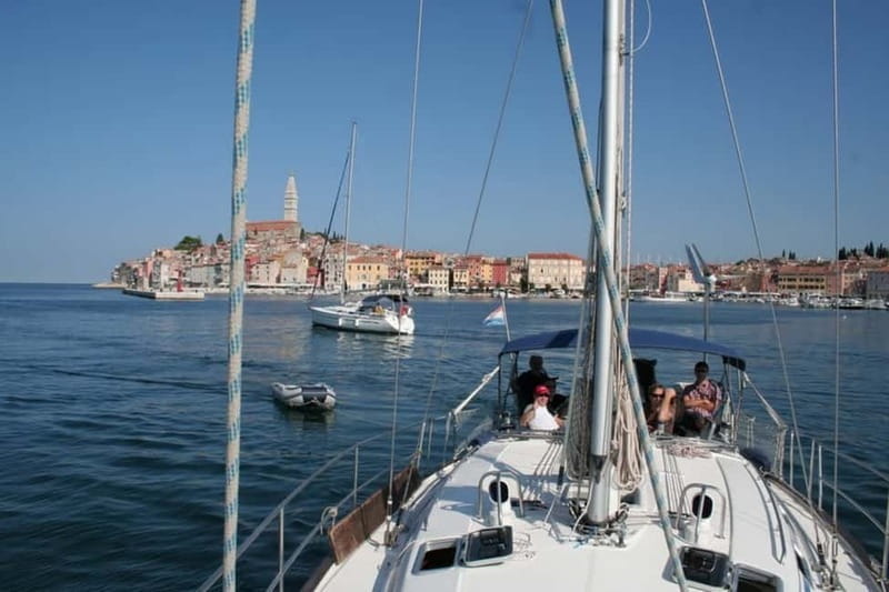 Vrsar: Dolphin Watching and Sightseeing Private Day Cruise - Vrsar: Dolphin Watching and Sightseeing Private Day Cruise — A Detailed Look