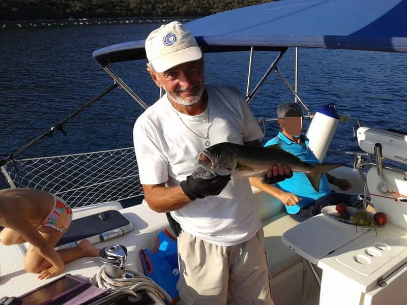 Vrsar: Dolphin Watching and Sightseeing Private Day Cruise - Key points / Takeaways