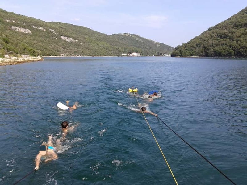 Vrsar: Dolphin Watching and Sightseeing Private Day Cruise - The Joy of Swimming and Snorkeling in Croatia’s Hidden Gems