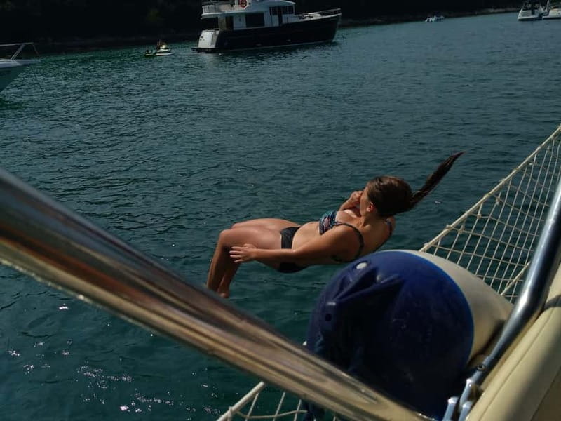 Vrsar: Dolphin Watching and Sightseeing Private Day Cruise - The Guide and the Experience: Why It Matters