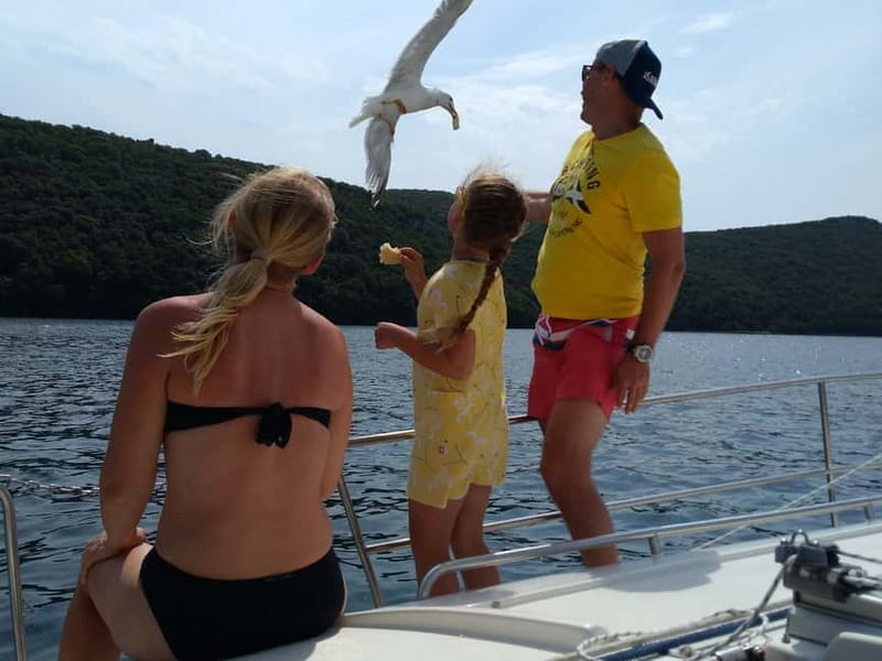 Vrsar: Dolphin Watching and Sightseeing Private Day Cruise - FAQ