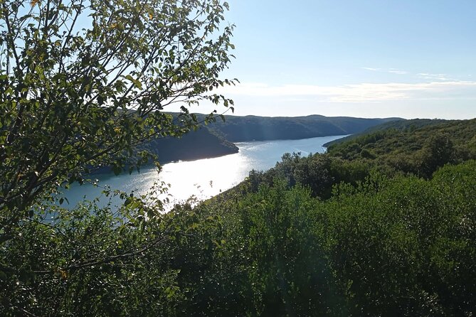 Vrsar, Lim Fjord and Rovinj Day Tour by Boat With Drinks - Unlimited Alcoholic Drinks