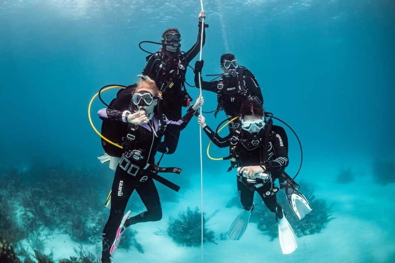 Vrsar: Start your diving experience internationally recognized diving license - Why Choose This Diving Course in Vrsar?