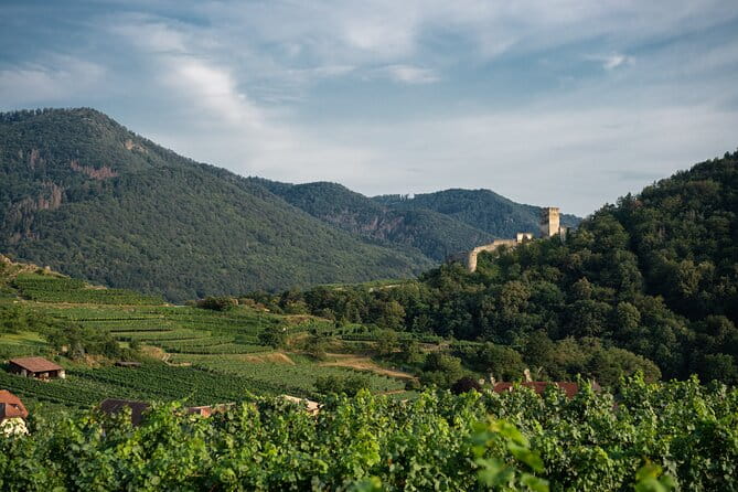 Wachau Valley Vines: A Culinary and Cultural Private Experience - Who Will Love This Tour?