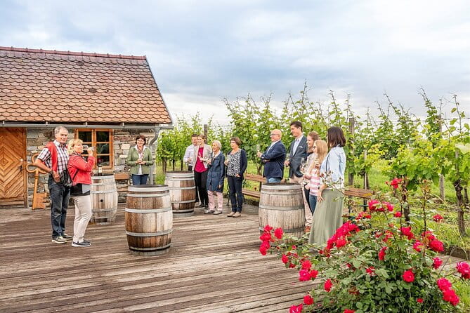 Wachau Valley Vines: A Culinary and Cultural Private Experience - Price and Logistics: Is It Worth It?