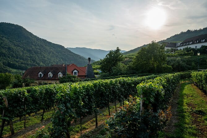 Wachau Valley Vines: A Culinary and Cultural Private Experience - FAQ