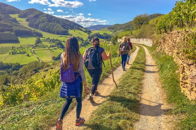 Wachau World Heritage Hike - A Deep Dive Into The Wachau World Heritage Hike