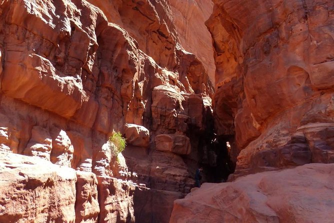 Wadi Rum: Camel Trek Adventure - Preparing for the Adventure