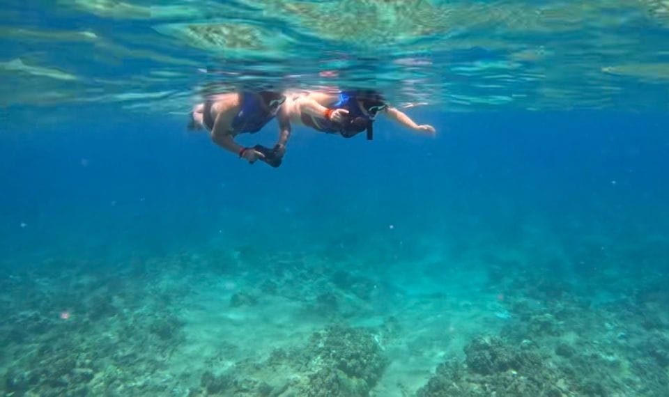 Waikiki: Monk Seal Bay Dolphin and Turtle Jet Snorkel Tour - Pickup and Itinerary