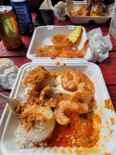 Waikiki: Oahu In a Day Circle Island Tour - Pickup and Drop-off