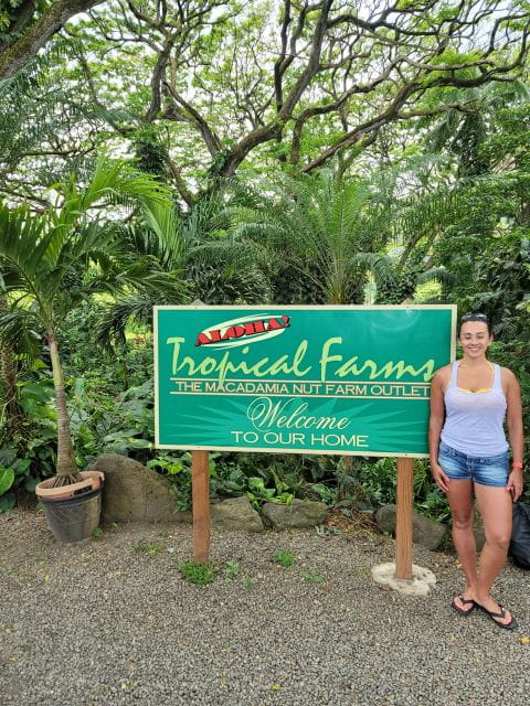 Waikiki: Oahu In a Day Circle Island Tour - Guide and Group Size