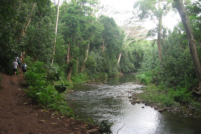 Wailua River and Secret Falls Kayak and Hiking Tour on Kauai - Included Activities